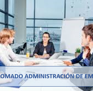 Diplomado Administración de Empresas